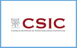 CSIC blue border