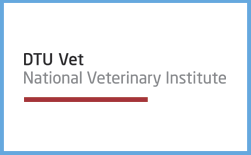 DTU blue border